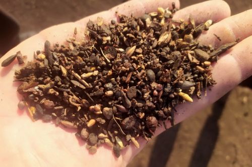 Викоритовувати зернові відходи в якості чистого палива для теплогенераторів не варто — фахівці