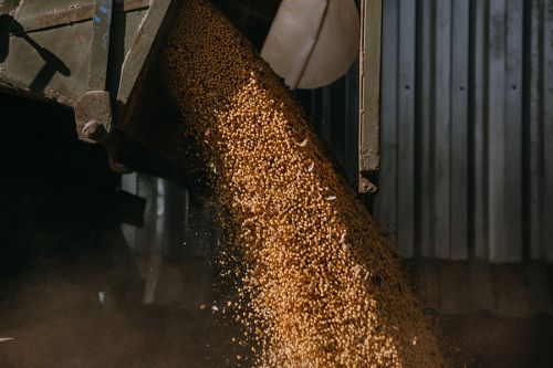 Елеватор Grain Alliance у Словаччині перевантажив близько 120 тисяч тонн зерна