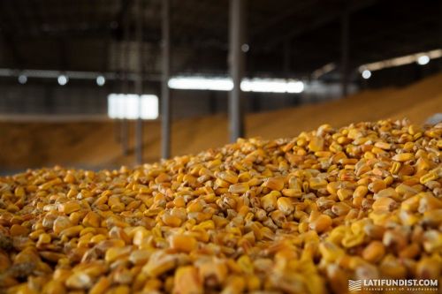 Подовжено термін подачі документів для експортерів сої та кукурудзи до Китаю