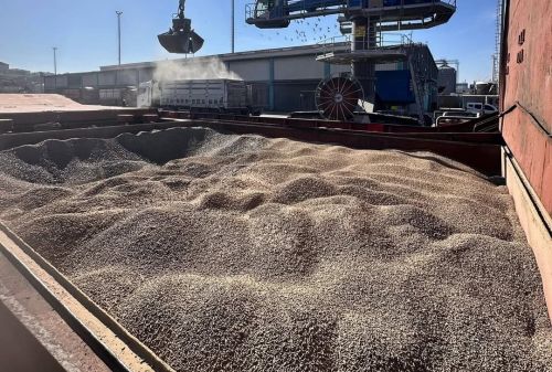 Пелети соняшникового шроту розвантажуються насипом у порту
