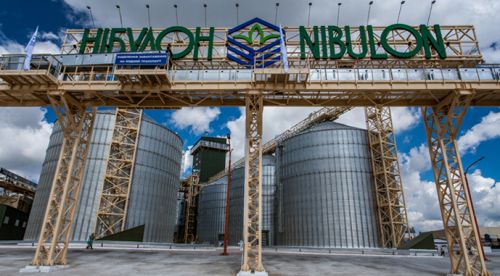 Елеватор НІБУЛОН Елеваторний комплекс агрохолдингу «НІБУЛОН»