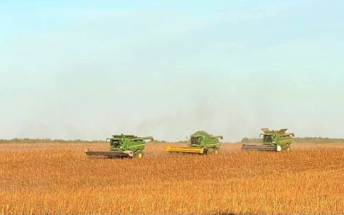 Збирання врожаю соняшнику в господарствах «Tekom Agro Group» на Одещині