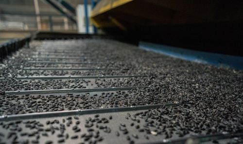 Українські заводи у вересні переробили близько 560 тис. т соняшнику