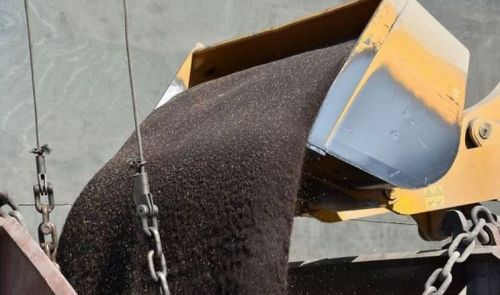 У жовтні Україна експортувала лише 8 тис. т ріпаку: до січня експортний потенціал оцінюють на рівні 1,3-1,6 млн т