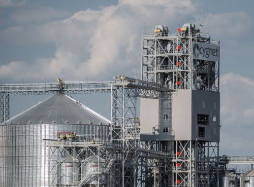 На елеваторі Сігнет собівартість сушіння зерна в новому сезоні становить близько 100 грн