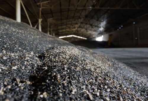 В Миколаївському кластері «НІБУЛОНу» відмовляються від вирощування соняшнику