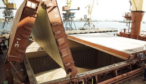 Судна з 200 тис. т української пшениці застрягли в Єгипті через проблеми з оплатою