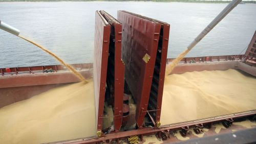 Судновласникам костерного флоту вдалося стабілізувати рівні фрахту