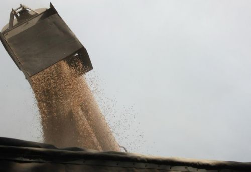 З 2022 року Україна експортувала до країн Азії, Африки й Латинської Америки 66 млн т зерна