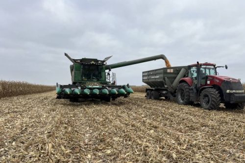 Агрейн завершили жнива кукурудзи на Одещині та Харківщині