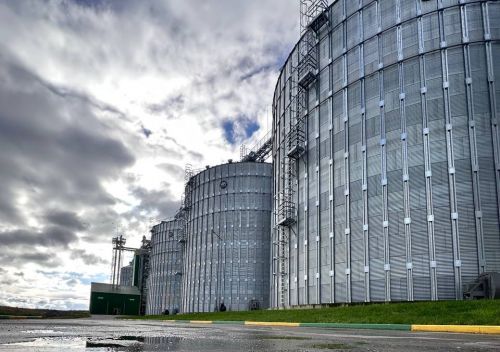 В Україні потужності зберігання дозволяють одночасно розмістити два врожаї