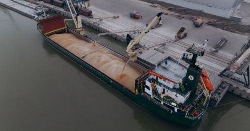 Фрахтовий ринок Чорного моря в другій половині листопада залишається стабільним