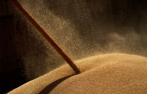 Україна та Гана підписали Меморандум щодо створення Центру переробки й розподілу української агропродукції в Західній Африці