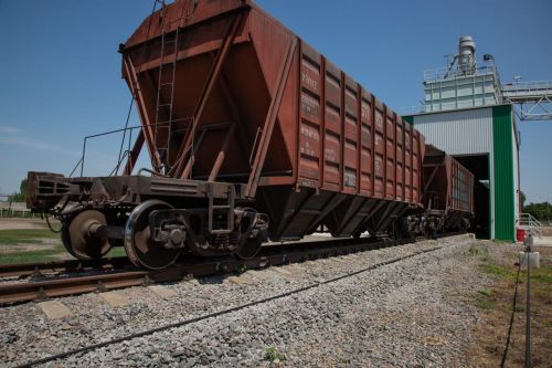 Вагони із зерном прямують в напрямку портів