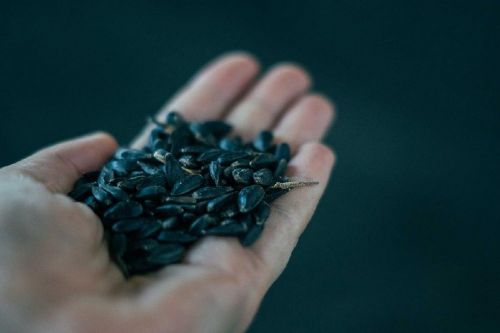 Допустимий рівень кислотності соняшнику