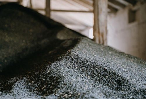 Дефіцит постачання насіння соняшнику