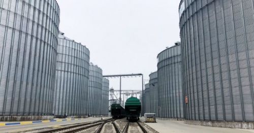 «Контінентал Фармерз Груп» експортував близько 600 тис. т зерна через трейдинговий напрямок за дев’ять місяців 2025 року