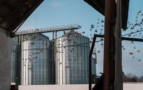 Механізм страхування майна від воєнних ризиків в Україні