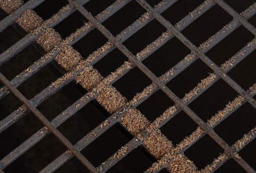 Цінова ситуація на ринку пшениці в Україні наразі виглядає нетипово спокійною