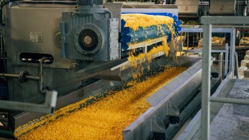 Вперше в історії України внутрішня переробка ріпаку та сої наздоганяє експорт