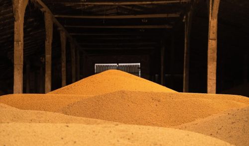 У листопаді експорт сої з України зріс до 455 тис. т проти 415 тис. т торік
