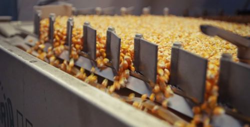 Індустріальний парк «НОСІВСЬКІ ГОСПОДАРСТВА» з агропереробки та альтернативної енергетики включили до реєстру