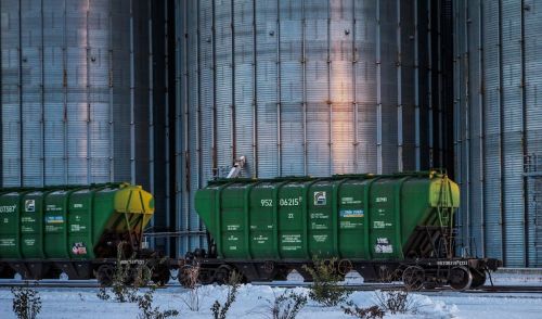 Експорт зерна залізницею через західні прикордонні переходи та порти