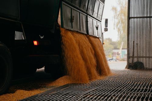 Аграрії переорієнтували продаж зерна на західний кордон та погоджуються продавати на елеватор за ціною нижче портової