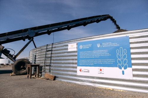 ФАО запускає програму з надання модульних зерносховищ українським фермерам