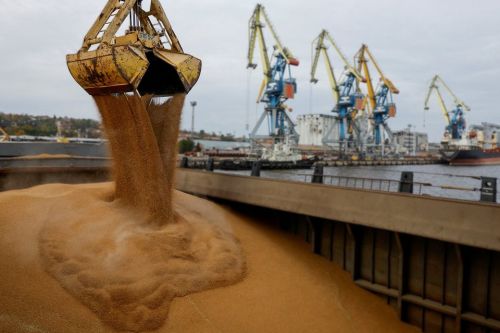 Експорт кукурудзи через українські морські порти