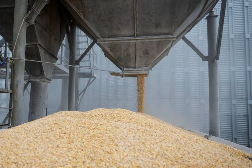 Вивезення українського зерна з окупованих територій до Росії