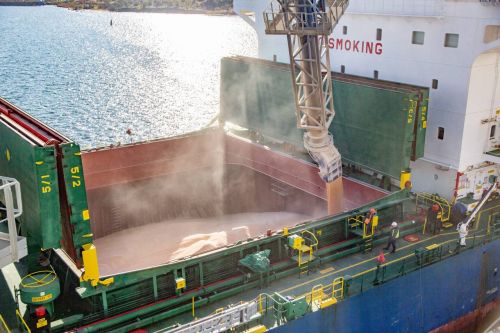 Завантаження агропродукції на судно в морських портах України
