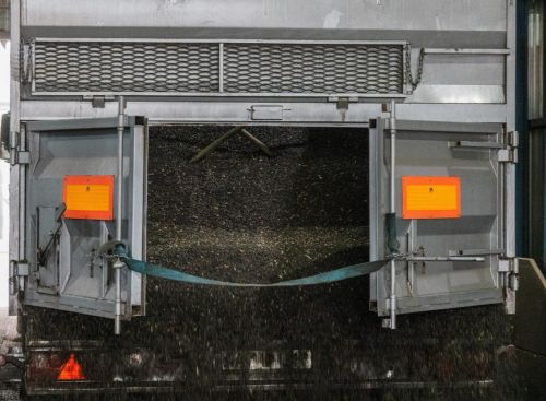 Шахрайська схема з перевезення насіння соняшнику