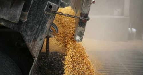 Вартість логістики експорту українського зерна