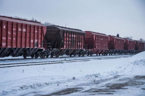 Перевезення зернових вантажів на експорт АТ «Укрзалізниця»