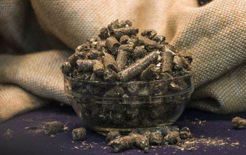 Експорт українського ріпакового шроту