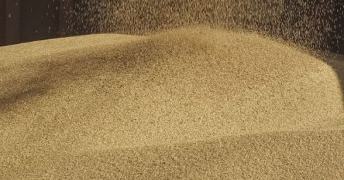 Торгівля зерном російської пшениці