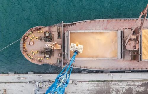 Відвантаження пшениці на експорт в порту Чорноморського регіону