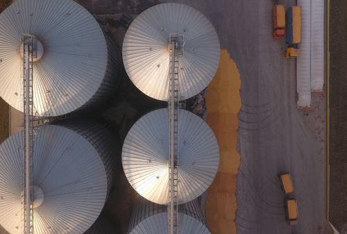 Приймання зерна на елеваторі в Україні