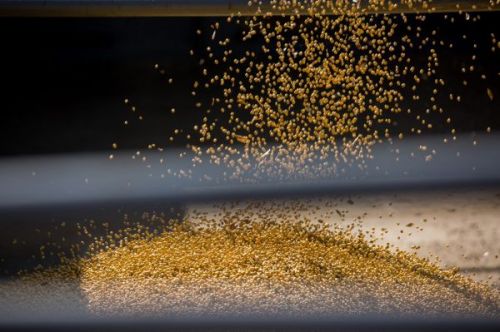 Завантаження сої у вантажівку