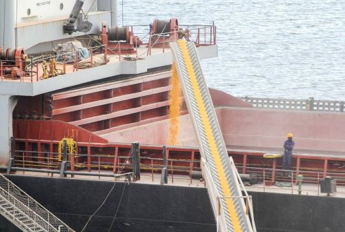 Відвантаження української кукурудзи на судно для експорту