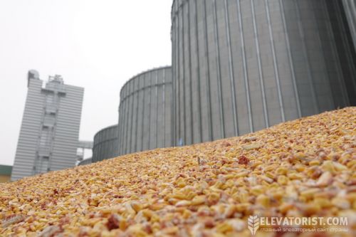 Зерно на елеваторі