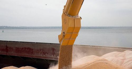 Завантаження зерна кукурудзи на судно