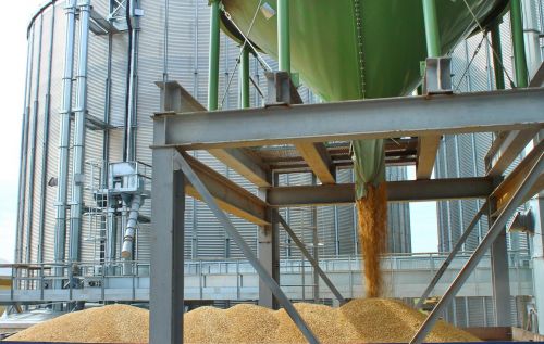 Відвантаження зерна з елеватора у вантажівку