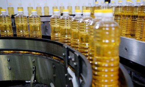 Рослинна олія в пляшках на конвеєрі виробництва