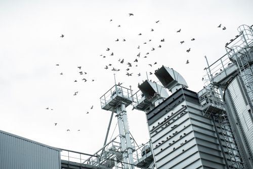 Зерносушарка на елевтаорі