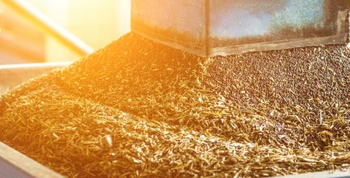 Ріпак експорт ціни