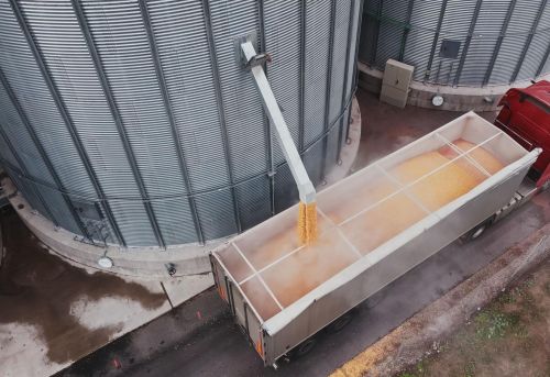 Завантаження вантажівки зерном кукурудзи на елеваторіі