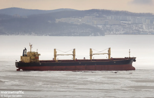 Російський балкер ABINSK (IMO: 9303869)