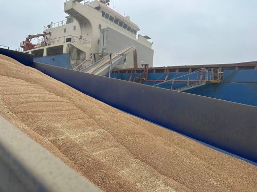 Перевалка зерна на терміналі «Транс-Агро» з групи Agromino